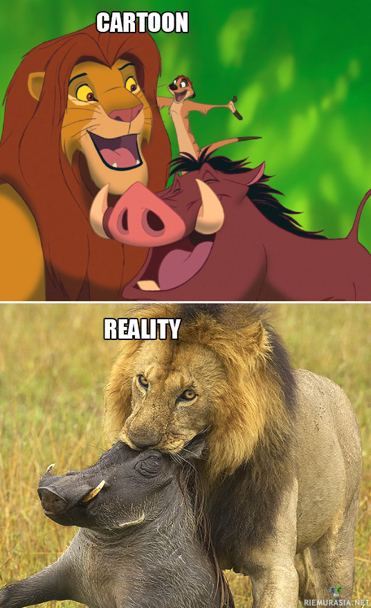 Cartoon vs reality
