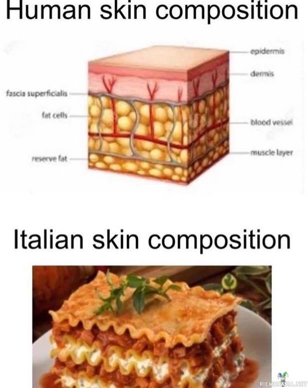 Anatomiaa - Ihmisen iho verrattuna italialaiseen.