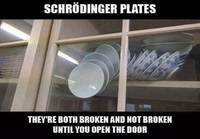 Schrödinger plates