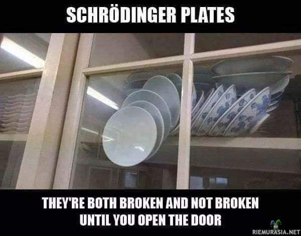 Schrödinger plates - Schrödingerin lautaset