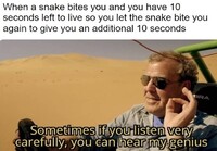 Kuinka selvitä vaarallisen käärmeen puremasta