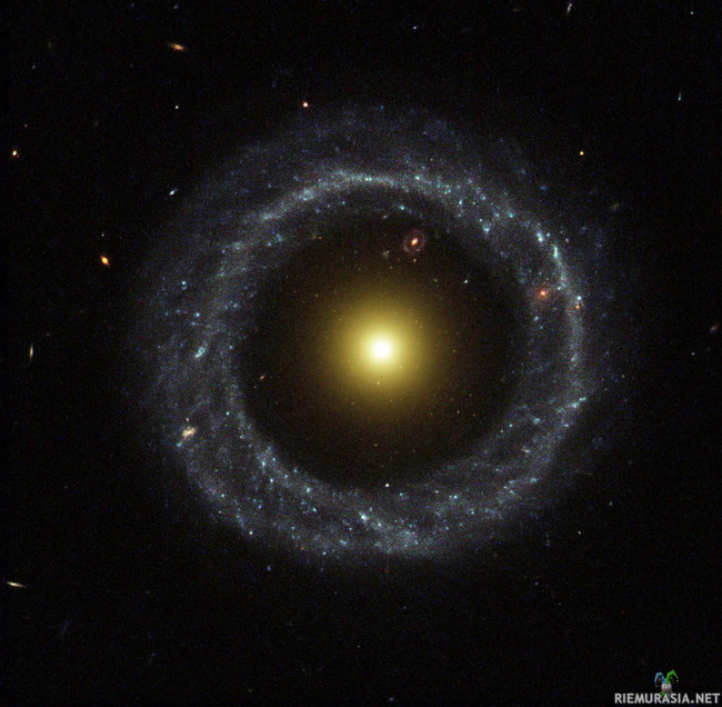 Hoag&#039;s object - Hoagin Objekti on rinkityyppinen galaksi, jossa tähdet ovat järjestäytyneet kahteen selkeään osaan. Keltaista keskustaa asuttavat eläkeläistähdet, ja sinertävässä ulkoringissä kutee paljon nuoria energeettisiä tähtiä. Niiden välissä ei ole juuri yhtään mitään. Rinkigalaksien tarkkaa syntymämetodia ei tunneta, ja rinkigalakseja on löydetty vain muutama hassu. Sattumalta toinen samanmoinen näkyy maasta katsottuna Hoagin objektin läpi!