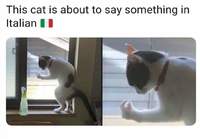 Kissa italiano