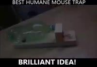  hiirenloukku