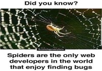 Hämähäkki-tietoutta
