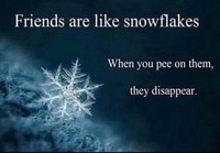 Ystävät ovat kuin lumihiutaleita