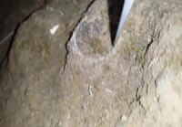 Hämähäkin man cave