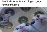 Lääketieteen opiskelijat