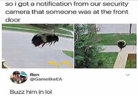 Bee buzzzz