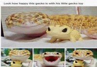 Iloinen gekko