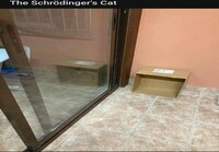 Schrödingerin kissa