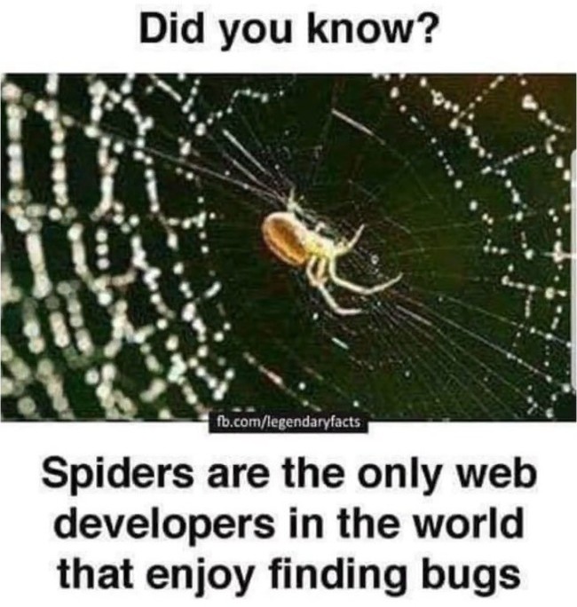 Hämähäkki-tietoutta - Tiesittekö? Nyt tiedätte. Tosin asian faktisuus voi olla alle 100%, sillä saattaa olla kehittäjiä, jotka tykkäävät löytää bugeja.

Mikä on hämä? Häkin tiedän, mutten hämää. Hämääkö hämähäkki, esim saalista?