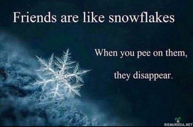 Ystävät ovat kuin lumihiutaleita - Eli ystävät ovat siis kaikki uniikkeja ja erilaisia. Tapa menettää ystävyys on silti sama.