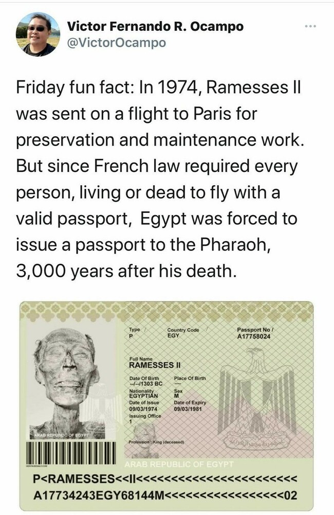 Passi myönnetty , syntymä- ja kuolinpäivä ei tiedossa - Ramesses II ei tiennyt, että tulee reissanneeksi Ranskaan hiukan myöhemmällä ajalla. Toivottavasti oli kivaa.