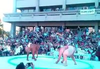 Maailman viimeinen sumopaini ottelu