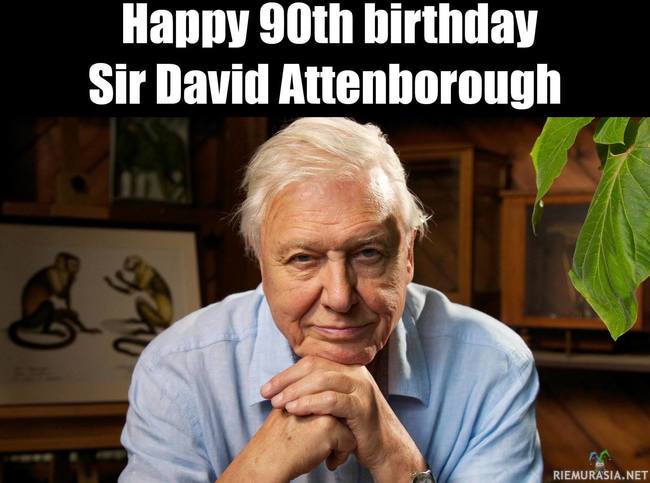 David Attenborough - Hyvää 90v syntymäpäivää.