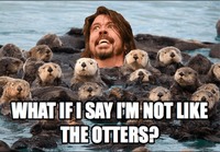 What if I say I'm not like the otters