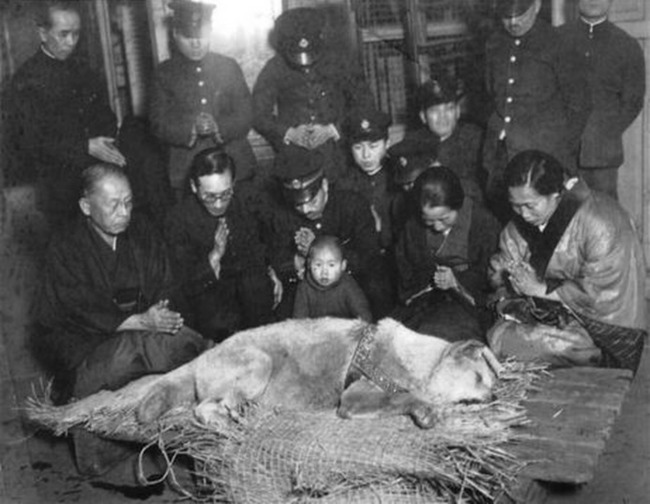Viimeinen tunnettu kuva Hachikosta - Kuva on otettu 8. maaliskuuta 1935 sen jälkeen kun Hachiko löydettiin kuolleena. Väittävät että nainen eturivissä toinen oikealta olisi Hachikon omistajan leski. Katso myös Hachiko Tribute: https://www.riemurasia.net/rtube/Hachiko/62104