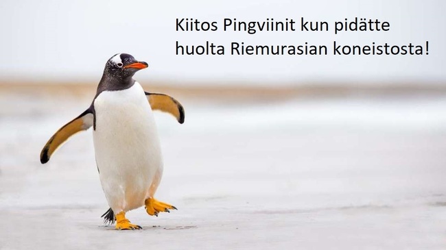 Kiitos Pingviinit - Riemurasian koulutetut pingviinit hoitaneet oman osansa kunnialla.