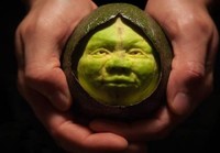 Avokadoon kaiverrettu Shrek