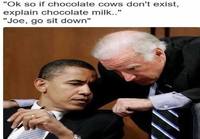 Joe ja suklaalehmät