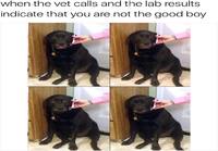 Eläinlääkäri kertoo testien tulokset