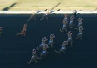 T-Rex kilpajuoksu