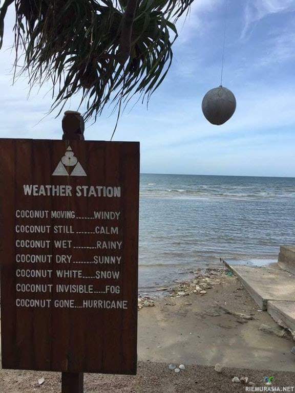 Tropiikin sääasema - Säätilanteen voi tarkastaa tarkkailemalla kookosta