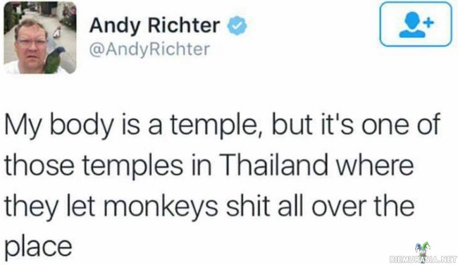Kehoni on temppeli - semmonen missä apinat paskoo pitkin seiniä
