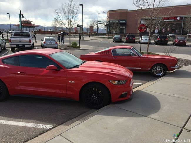 50 Vuoden ero - Mustangit ennen ja nykyään