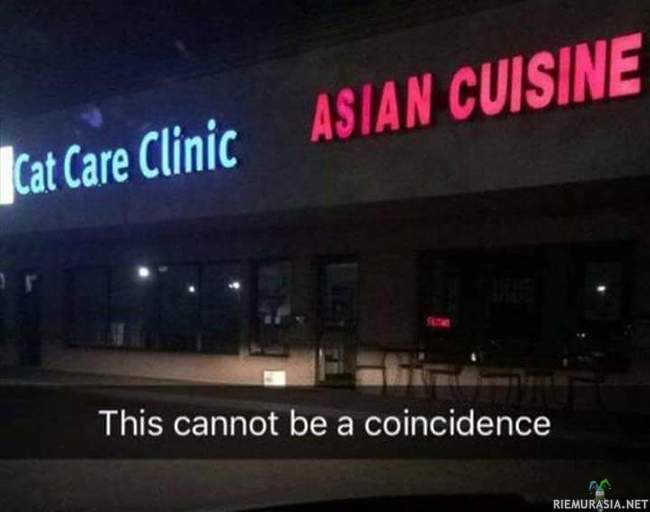 Kissaklinikka ja aasialainen ravintola - sattumaako?