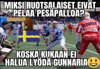 Pesäpallo ruotsissa 