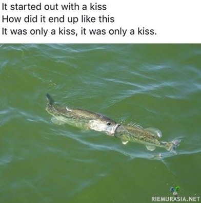 It started with a kiss..