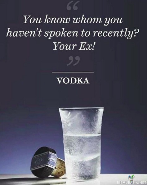 Vodka - Antaa välillä hyviä ideoita