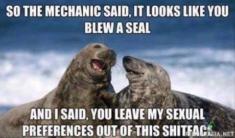 Blew a seal