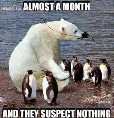 Soluttautunut jääkarhu - kukaan ei epäile mitään