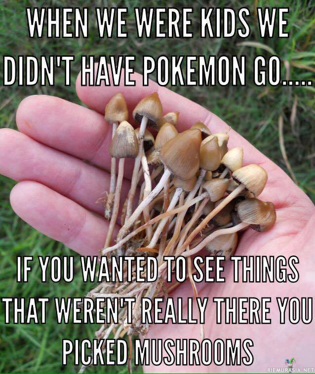 Silloin kun itse oltiin nuoria - Pokemon GO:n sijaan syötiin sieniä