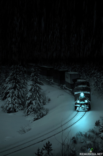 Yöjuna - Tunnelmallinen kuva rahtijunasta keskellä korpea talvella