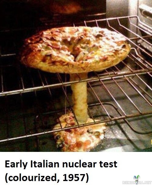 Italialainen ydinkoe  - Väritetty kuva 