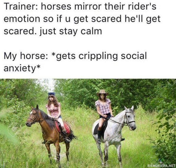 Hevonen vaistoaa tunteesi