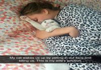 Vaimon ratkaisu kissan ärsyttävään herätystapaan