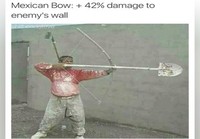 Mexican bow