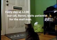 Kissalle postia