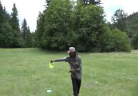 Frisbeegolf holari
