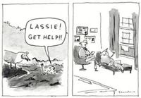 Lassie hakee apua