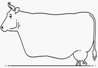 Lehmien evoluutio