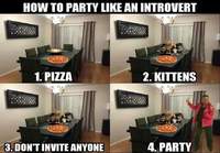 Kuinka bilettää kuin introvertti