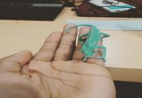 Pikkukameleontti syö madon kädestä