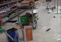 Kalat supermarketin lattialla