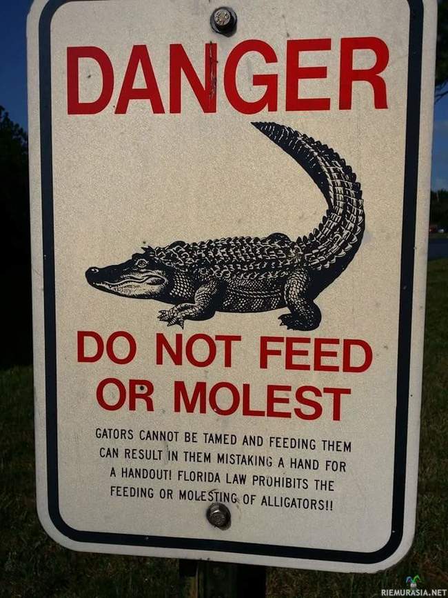 Alligaattoreita ei saa syöttää - eikä käyttää hyväksi